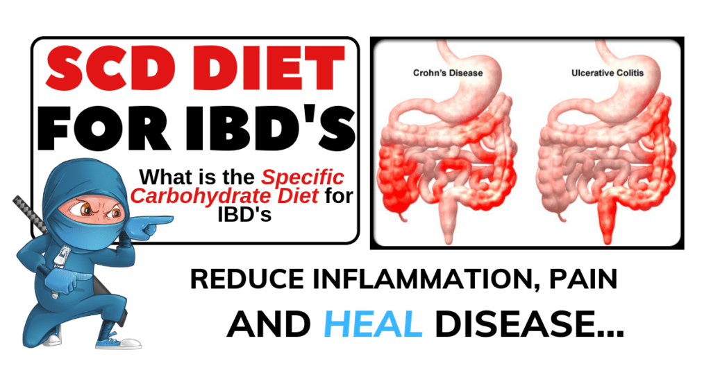 SCD Diet for Crohns and colitis